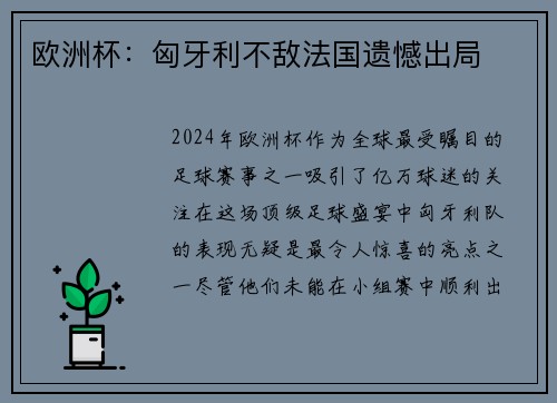 欧洲杯：匈牙利不敌法国遗憾出局